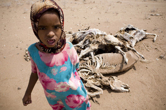 East Africa Drought Crisis